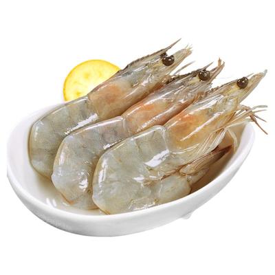 渔公码头新鲜海捕大虾