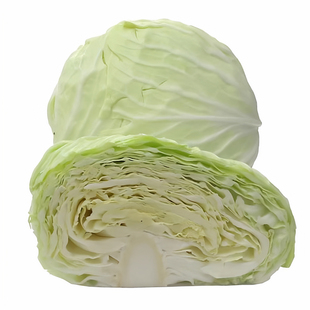 贵州新鲜绿甘蓝青甘蓝甘蓝包心菜卷心菜包菜新鲜蔬菜口感脆
