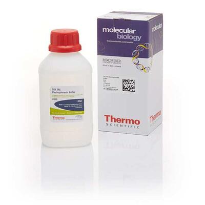 TAE 缓冲液（Tris-醋酸盐-EDTA）thermofisher上海生物网B49