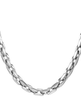 新款龙鳞钛钢简约锁骨链