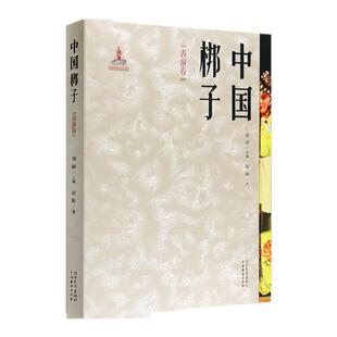 中国梆子·表演卷 赵娟 著 讲述非遗文化中国戏曲的表演书籍 河北教育出版社