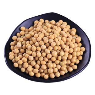 新货云南农家新黄小豆打豆浆专用磨豆浆老品种黄豆500g