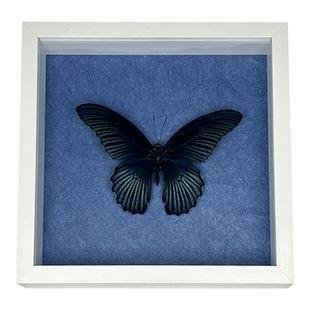 真玻璃中空相框纹理质感镜面标本手工DIY正方形摆台颜色多个款式