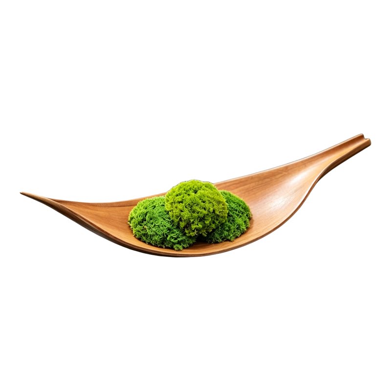 禅意永生苔藓原木托盘 绿植微景观样板间书房桌面原生态软装摆件