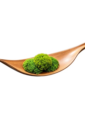 禅意永生苔藓原木托盘 绿植微景观样板间书房桌面原生态软装摆件
