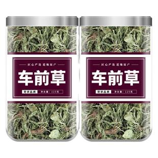 车前草正品中药材500g新鲜野生干货车前草袋泡茶泡水的功效与作用