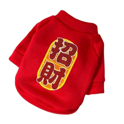 猫咪卫衣两脚抓绒狗狗衣服