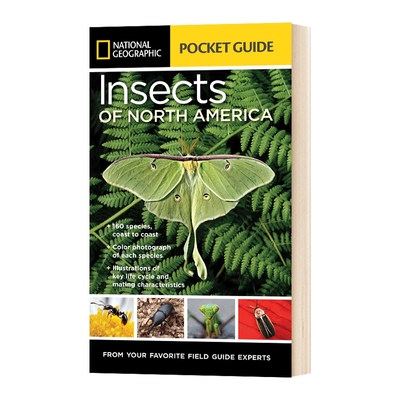 英文原版 National Geographic Pocket Guide to Insects of North America 国家地理北美昆虫袖珍指南 英文版