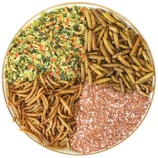芦丁鸡鹦鹉八哥零食饲料鸟粮黑水虻面包虫干蔬菜干保健砂食物粮食