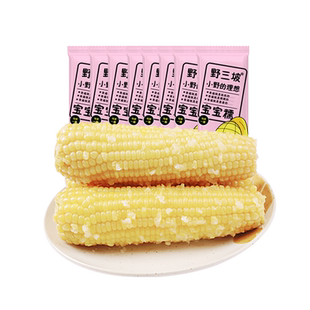 拒马河畔新鲜采摘糯玉米真空粘糯玉米苞米旗舰店嫩的宝宝白糯玉米
