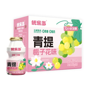 风味饮品儿童早餐酸奶100ml×20