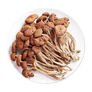 古田茶树菇菌状元农家新货香菇干货茶新菌菇虫草毛重煲汤净重批发