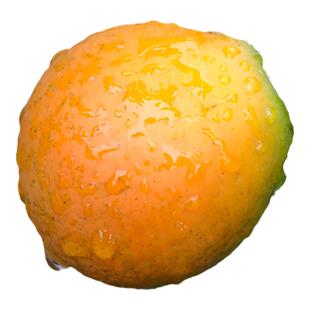 匠桔广西融安金桔滑皮金桔 3斤家庭装/4斤礼盒独立包装顺丰包邮