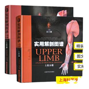 正版 实用解剖图谱套装 (第3三版) 上下肢共2册 高士濂 精装彩色人体解剖 骨科手神经普通外科临床医师教学科研工具书