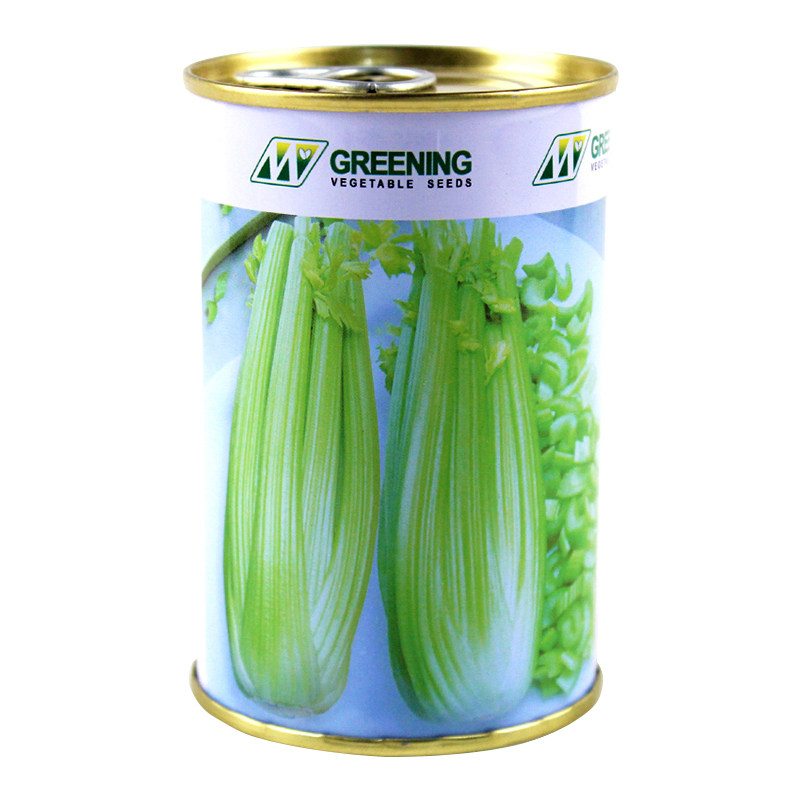 法国太子皇后进口秋季种菜西芹