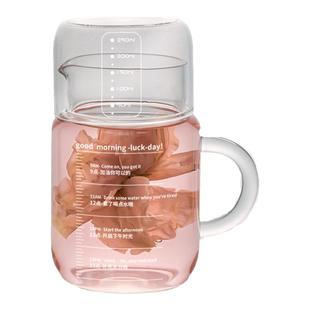800ml煮茶壶玻璃水杯带把高硼硅带盖加热可微波炉电陶耐高温水壶