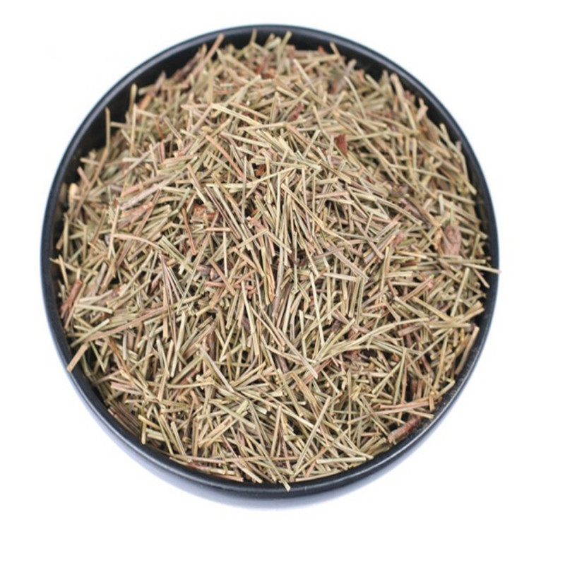 松针中药材天然茶全松茶马尾松针