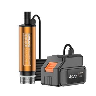 电动抽油泵通用大流量柴油泵小型自动抽油机自吸泵加油神器加油机