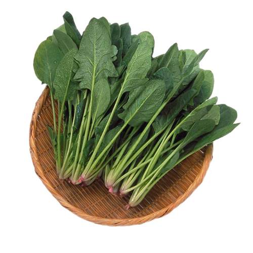 小叶菠菜种子四季波菜种籽大全秋季蔬菜种孑四季菠菜籽种盆栽农家