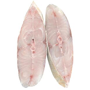 鱼小六2斤中段装湛江一夜埕淡盐大马友鱼新鲜冷冻深海产无刺鲅鱼