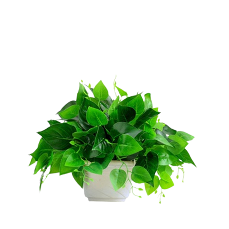 小清新仿真植物盆栽盆景绿植田园