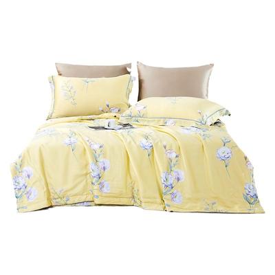 图美寝饰兰精天丝夏被天丝透气