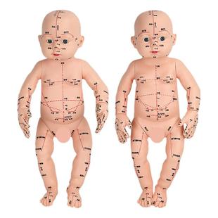 全身穴位娃娃经络图按摩书中医小儿推拿教学月嫂培训婴儿针灸模型