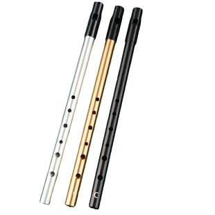 爱尔兰哨笛初学者入门C调D调6孔金属哨笛专业演奏直笛竖笛乐器