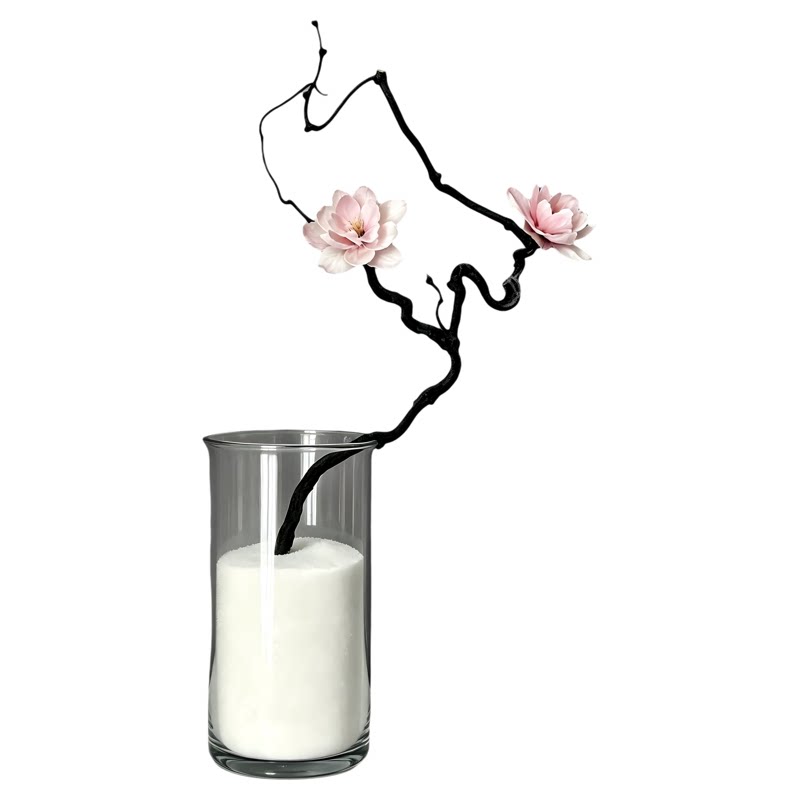 花瓶插花填充花盆铺面造景装饰沙