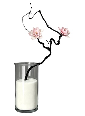 花瓶插花填充花盆铺面造景装饰沙