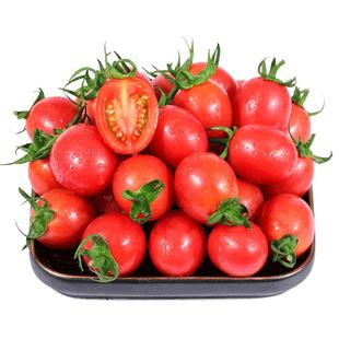 圣女果新鲜小番茄5斤水果当季整箱包邮蔬菜生吃自然熟3西红柿千禧