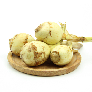 云南新鲜小茨菇现挖白慈姑冬茨菰马蹄荸荠燕尾草地栗芽菇特产蔬菜