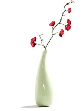 水培迷你清新ins玻璃欧式干花