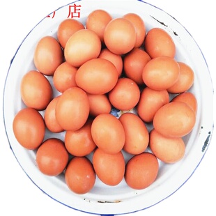 商用！生的13天活珠子40枚】鸡蛋胚新鲜山东农家烧烤食材包邮