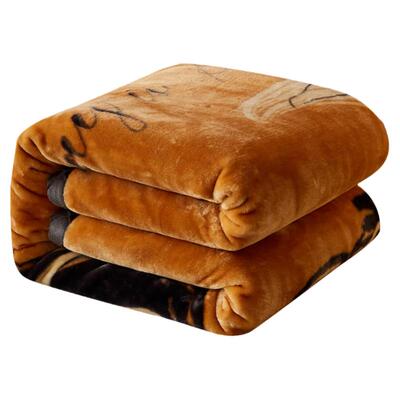 广东省被拉舍尔毛毯双层加厚冬季