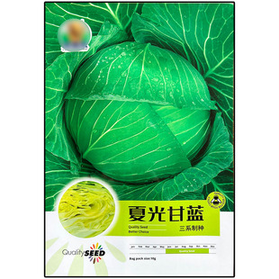 夏光耐热甘蓝莲花白种子籽仔苗春夏秋播种卷心菜洋白菜高丽包椰菜