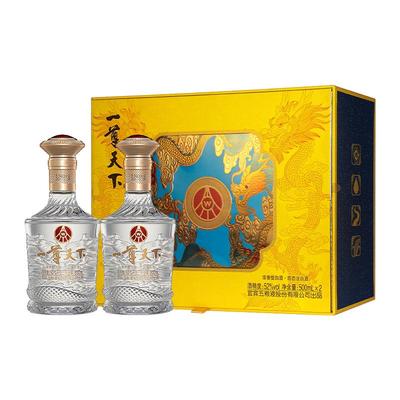 五粮液一尊天下52度500ml*2瓶