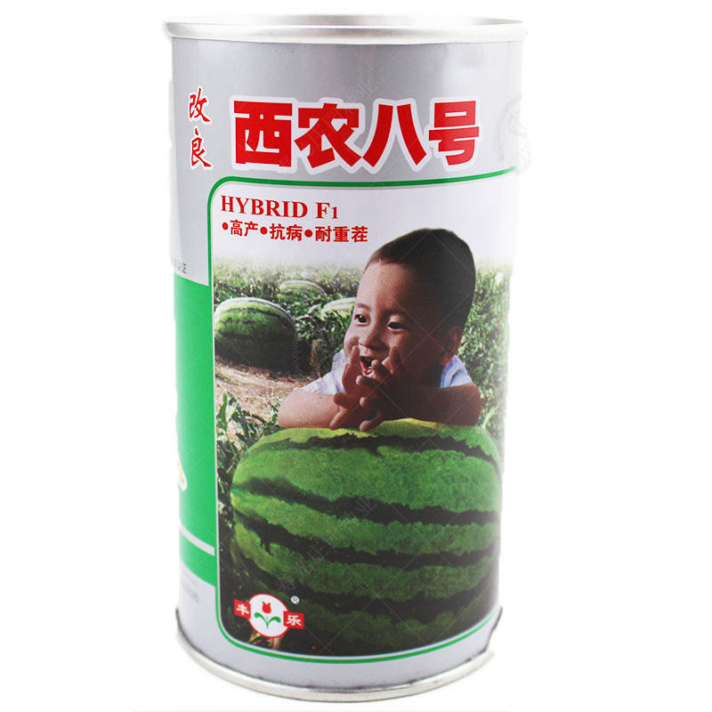 西农八号西瓜种子特大巨型四季