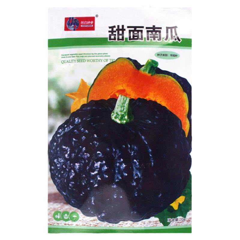 甜面南瓜种子短蔓高产黑皮南瓜黑贝贝香甜面南方北方四季蔬菜种子
