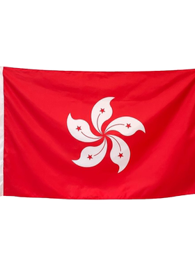 香港区旗4号5号悬挂户外用