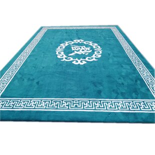 定制戏曲舞台地毯练功舞蹈室健身运动体操防滑垫满铺武术训练专用