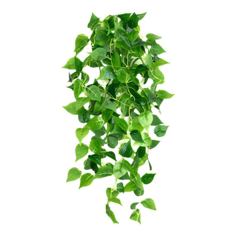 藤蔓墙面植物吊篮壁挂花树叶藤条