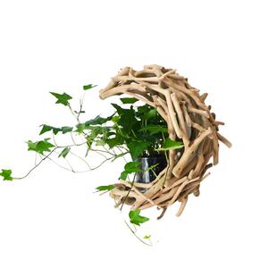 简约墙面装饰绿植壁挂实木花瓶创意客厅电视沙发背景墙上挂饰盆栽