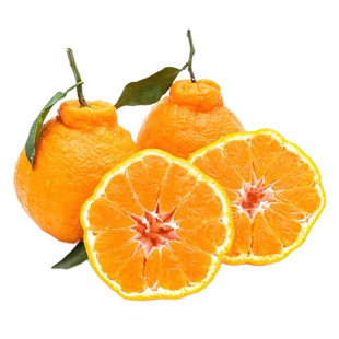 四川春见耙耙柑4.5斤时令新鲜水果当季柑橘整箱包邮