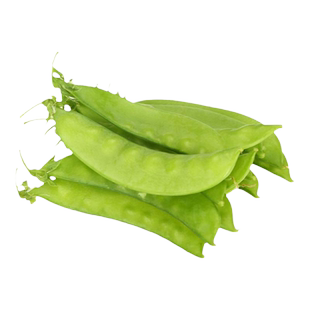 矮生双荚荷兰豆种子春秋青豆豌豆种籽秋四季阳台盆栽蔬菜种孑大全