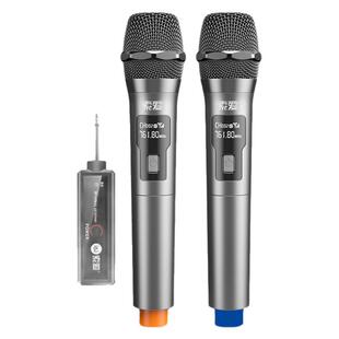 索爱充电无线麦克风话筒家庭KTV唱歌演讲舞台K歌会议音箱音响功放