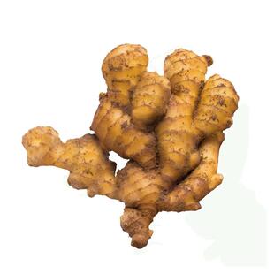 山东窖藏大黄姜10斤新鲜生姜老姜沙姜月子姜包邮当季农家现挖蔬菜