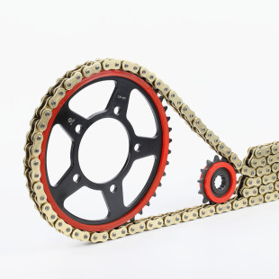 适铃木GW250 GSX250R DL250牙盘改装静音链轮大小飞征和油封链条