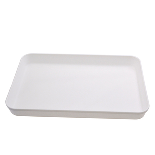 WB专用切胶托盘方盒 电泳凝胶暂存盒 PP塑料不生锈 湿转浸润凝胶存放转印夹 Western Blot转膜托盘 赛维尔