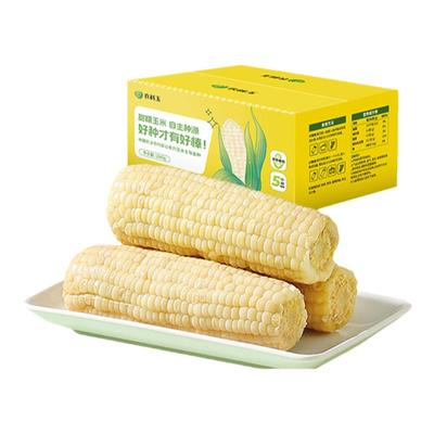 农科玉甜糯玉米 非转基因真空包装 鲜食东北软糯白甜糯黏玉米粗粮